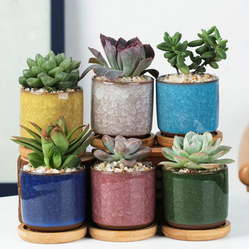 6pcs/set Ceramic Flowerpot Set - Echeveria Succulent review and price
